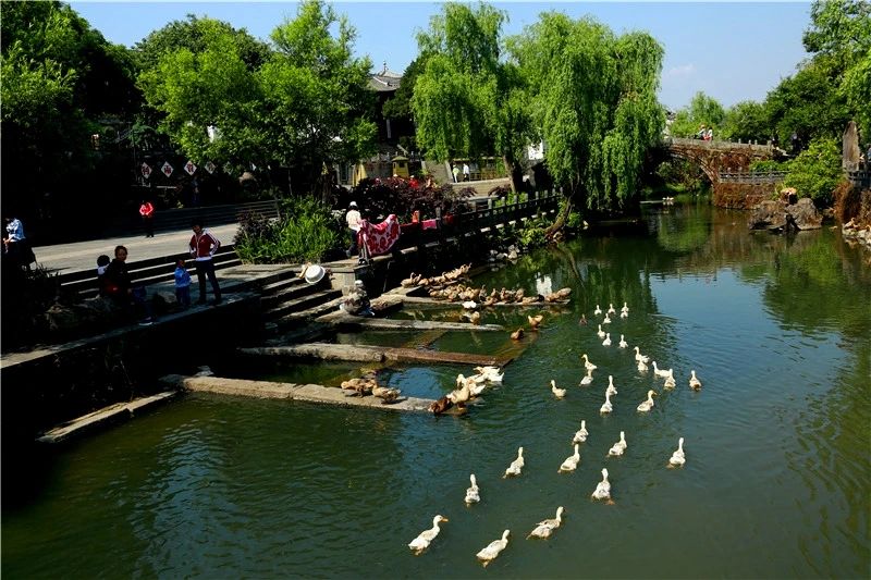 研學(xué)商業(yè)模式或?qū)⒕拮?！北京鼓?lì)社會(huì)力量參與博物館社教活動(dòng)開發(fā)和實(shí)施