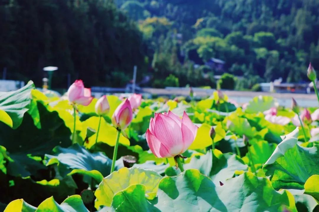 昆明年會(huì)場地預(yù)定:外企和國企的年會(huì)形式區(qū)別