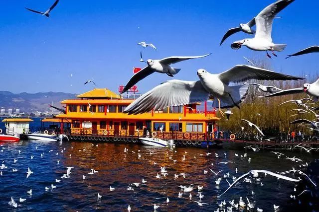 云南品質(zhì)游旅行社推薦，云南旅游選擇品質(zhì)旅游有什么優(yōu)點(diǎn)