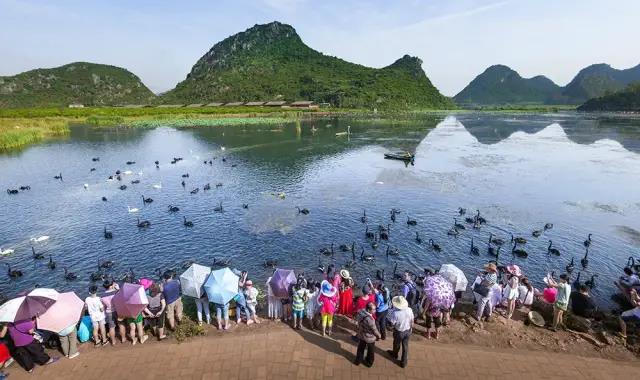 春節(jié)云南特輯 | 人少景美！春節(jié)云南旅游線路推薦十