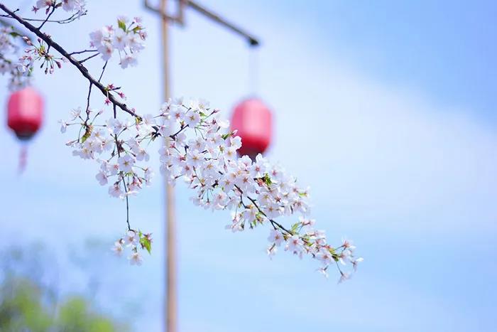 旅游景區(qū)如何良性循環(huán)應(yīng)對市場變化？
