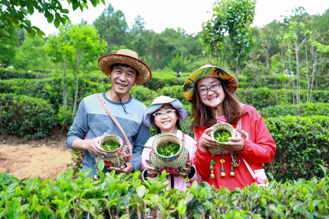 什么顏色最夏天？ 當(dāng)然是郁郁蔥蔥的綠色，周末帶著孩子體驗(yàn)最盎然的綠意