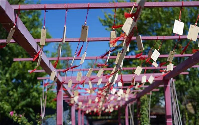 賞花親水、荷塘野趣……楚雄東華濕地公園許你一個繽紛夏日
