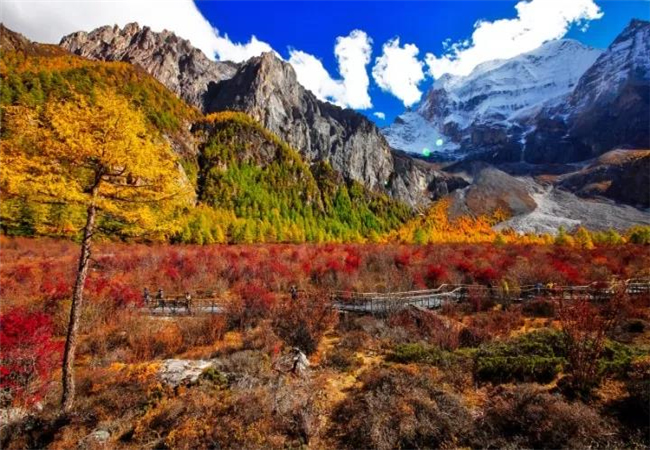云南旅游攻略稻城亞丁的秋天， 美到炸裂了?。?！