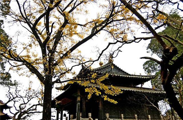 云南傳媒公司：在云南，聽(tīng)說(shuō)古鎮(zhèn)和秋天更配