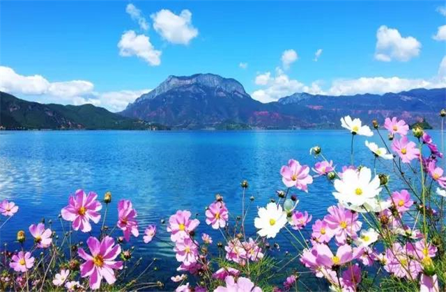 云南旅拍地推薦：七月的瀘沽湖，竟然可以美成這樣！