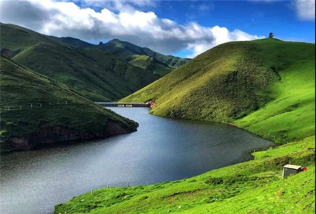 云南露營場地：夏天的大海草山，已經(jīng)美成了天堂！