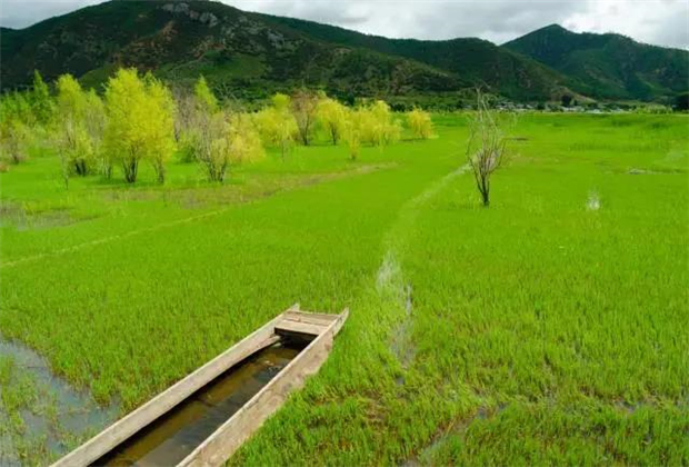 云南會(huì)展策劃：關(guān)于瀘沽湖的好風(fēng)景，都想與你分享！