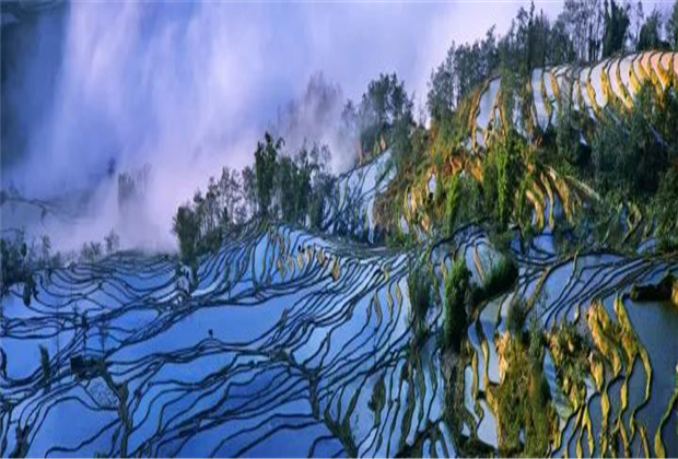 云南傳媒公司：元陽梯田最佳觀賞期到啦！哈尼族1300年歷史結(jié)晶，究竟有多美？