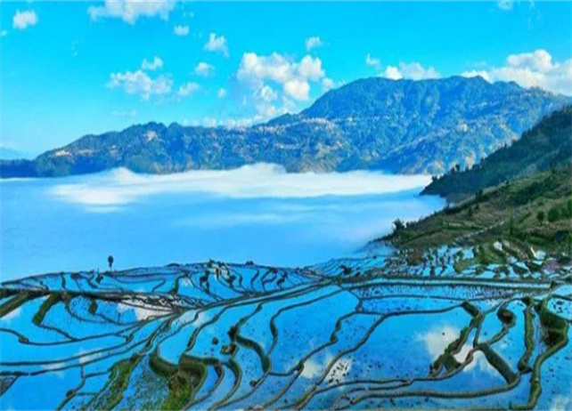 一條來(lái)自聯(lián)合國(guó)的推送，主角：紅河哈尼梯田！