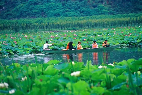 2022普者黑夏令營(yíng)：山水田園，萬(wàn)畝荷花游學(xué)，探訪彝族古村，感知民族文化！