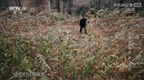 趣說人文歷史｜康乾盛世，“番薯盛世”？