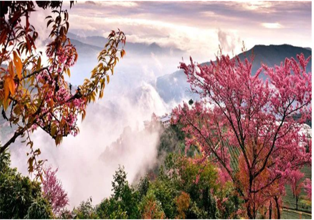 【聚焦旅交會 相約游大理】來南澗，在彝鄉(xiāng)體驗自然之謎與民族之美