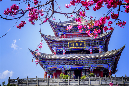 疫情過(guò)后，給自己來(lái)一場(chǎng)放縱的旅行...麗江的夏天愿你更美！