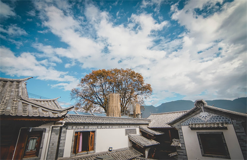 春節(jié)云南特輯 | 人少景美！春節(jié)云南旅游線路推薦三