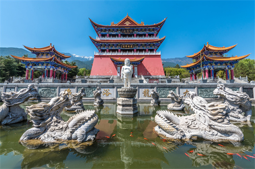 陽(yáng)春三月去大理蒼山西坡，看人間最美的杜鵑花！