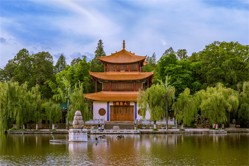春暖四時(shí)，花開昆明，感受春城初春之美！
