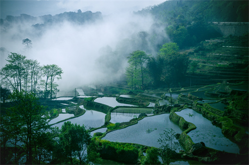 鄉(xiāng)村健康養(yǎng)生產(chǎn)業(yè)的客戶群體有哪些？它有什么開發(fā)要點？