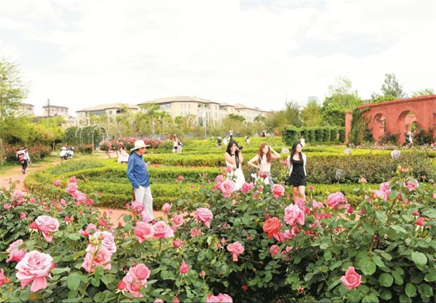 云南旅游,云南旅行社,云南團(tuán)建公司,云南策劃公司,云南會議公司,昆明旅游,昆明旅行社,昆明團(tuán)建公司,昆明策劃公司,昆明會議執(zhí)行：旅居昆明，在花海里通關(guān)四季！花歷正在更新，等你來簽收春天→